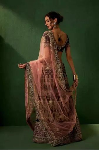 Multicolour Embroidered Lehenga choli with Blouse